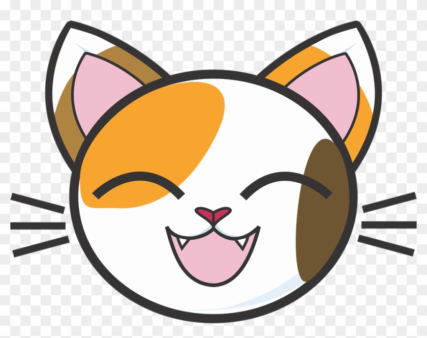 KittenHub - The Funniest Cat Videos Online | Cute & Hilarious Kittens
